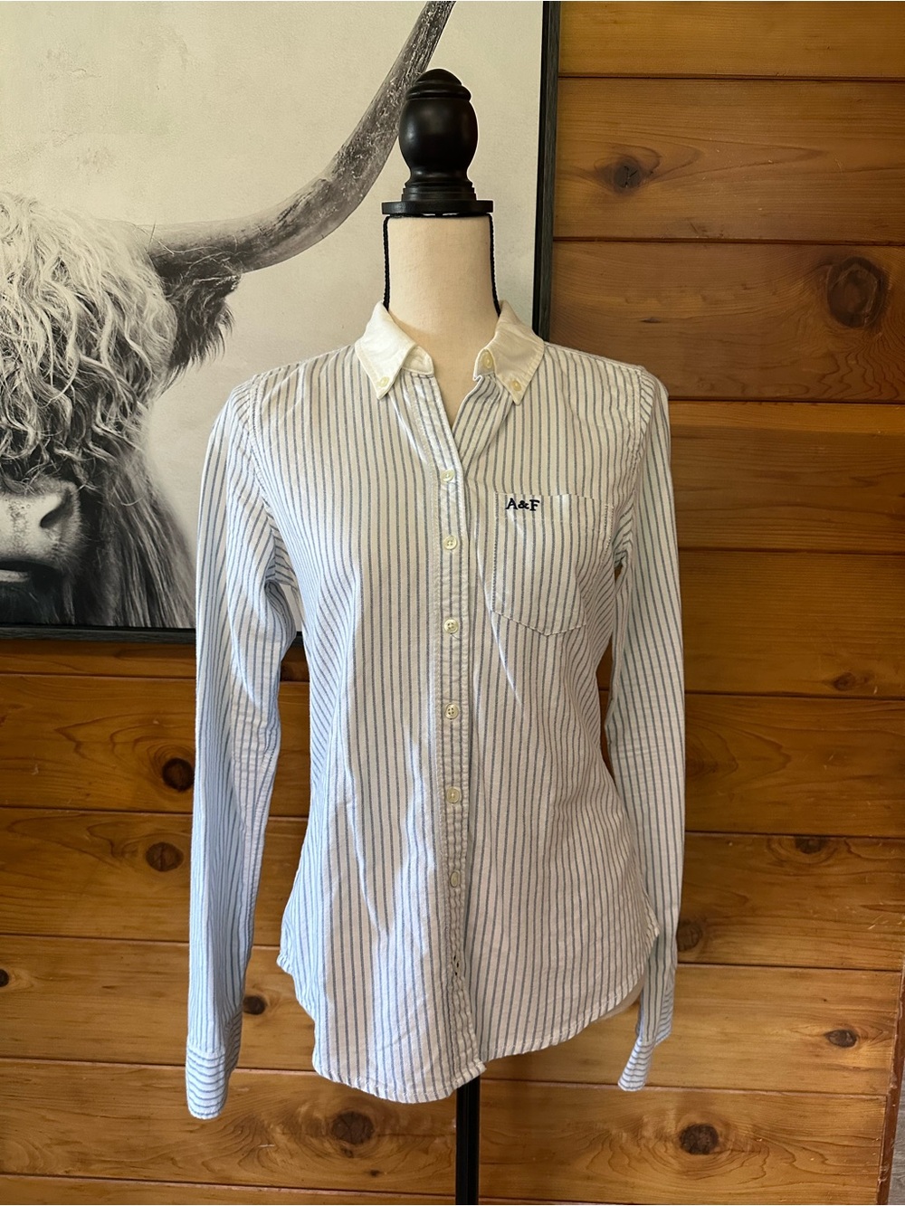 Abercrombie & Fitch White & Blue Stripe Button-Down Shirt